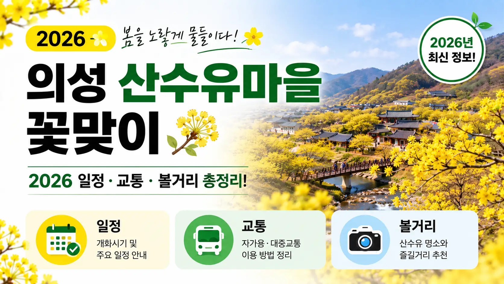 의성 산수유마을 꽃맞이 2026 일정 교통 볼거리
